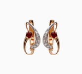 Earrings With gemstones 17061827